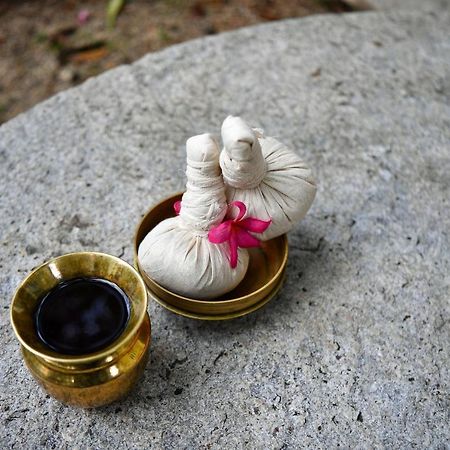 The Royal Heritage Hotel And Ayurvedic Center Thiruvananthapuram Екстер'єр фото